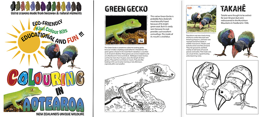 Students work with Briar's Books to create a colouring book on NZ wildlife