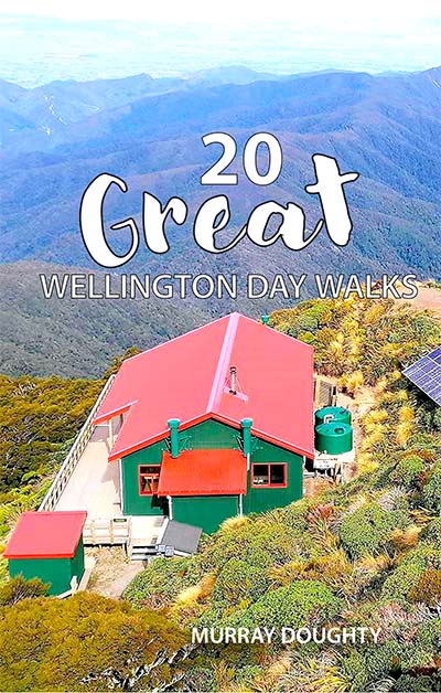 photo-rich hiker's guide to best walks round Wellington